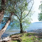 Daire Ceriana-5 By Interhome Ghiffa